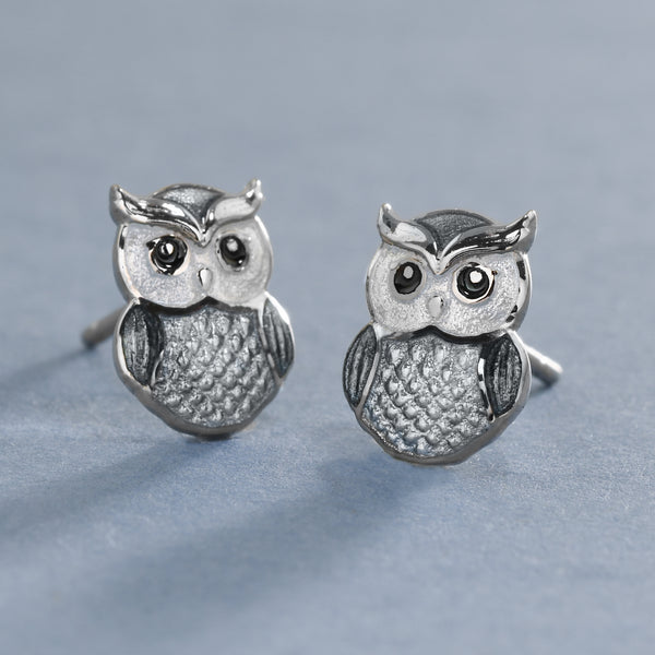 Cute Owl Studs In Silver